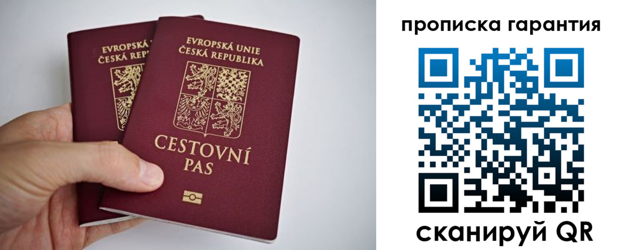прописка в Купино